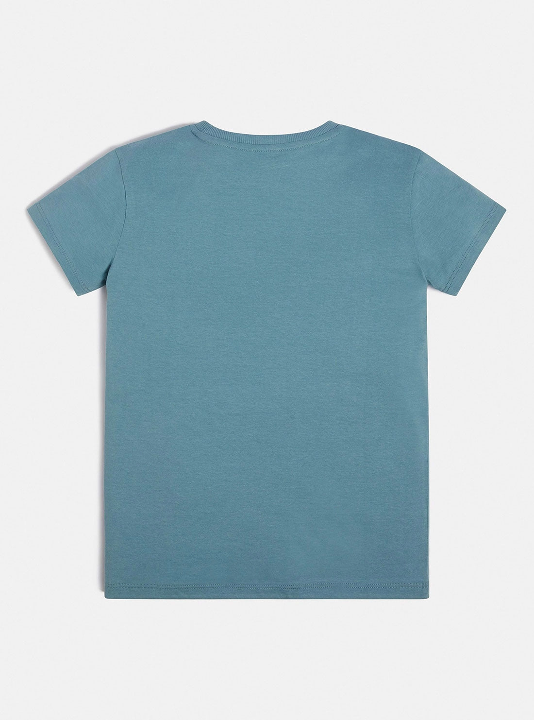 Blue Painted Triangle Logo T-Shirt (7-16)