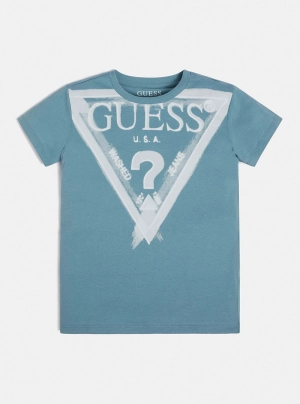 Blue Painted Triangle Logo T-Shirt (7-16)