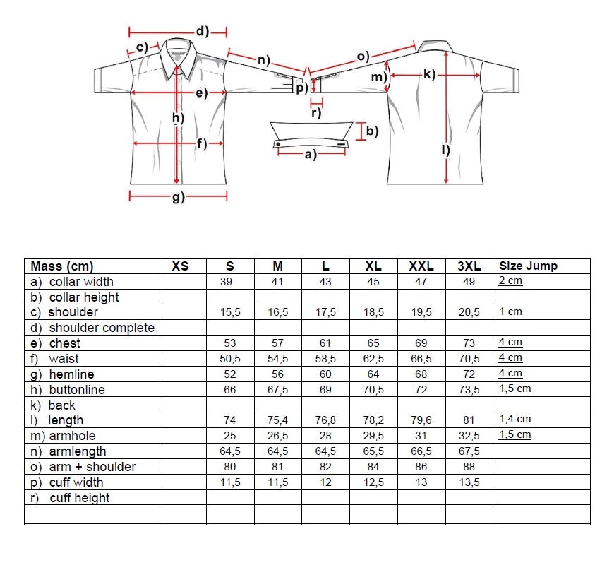Brody Men's Western Shirt