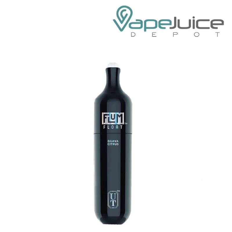 Flum Float Disposable Vape 3000 Puffs