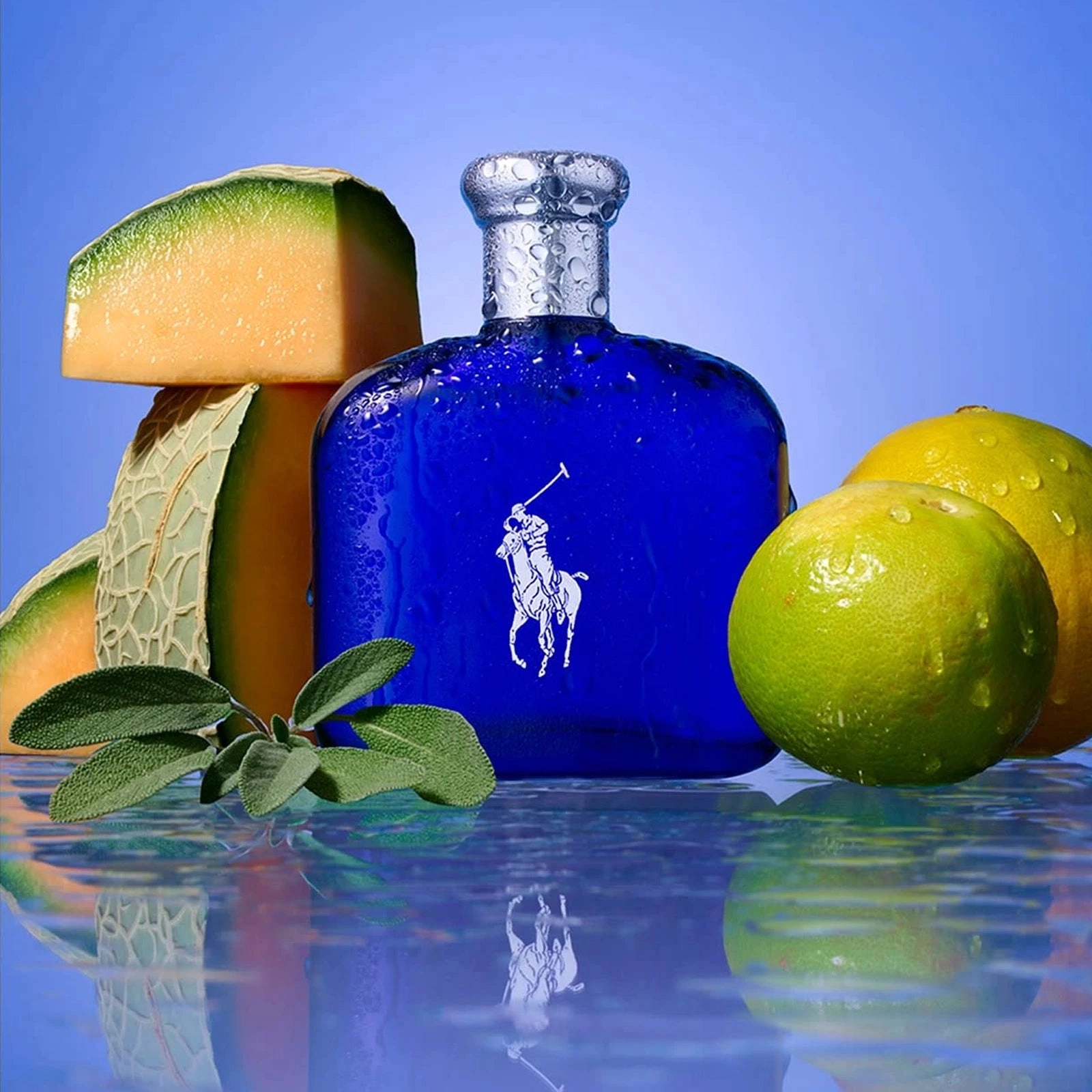 Polo Blue 2.5 oz EDT for men