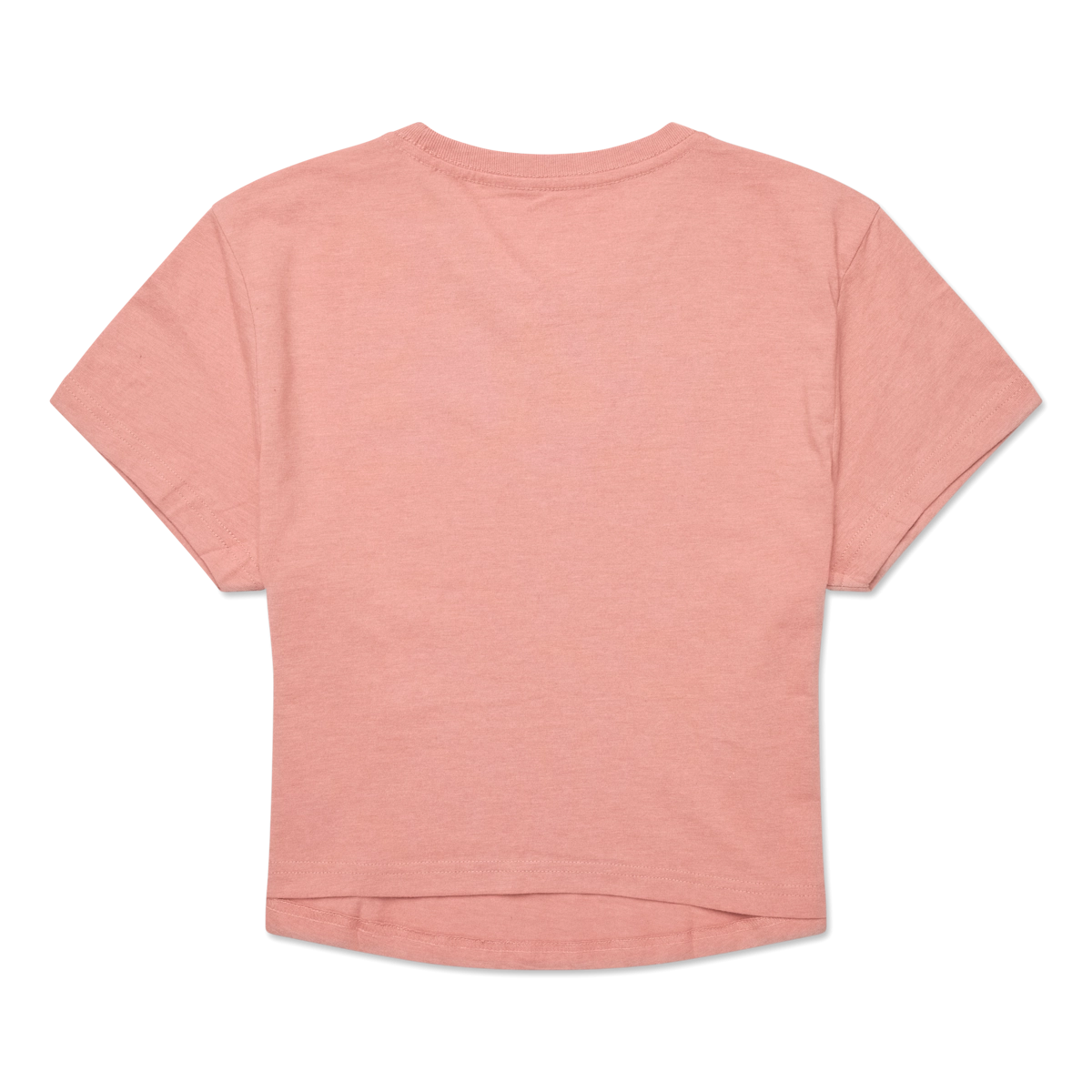 Tiny Llama Crop T-Shirt - Women's